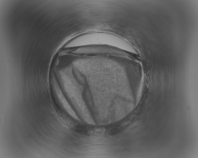 X0000075360196200610061755