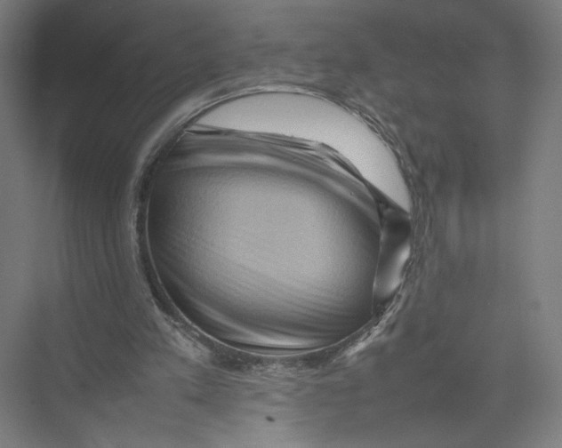 X0000075360197200610061755