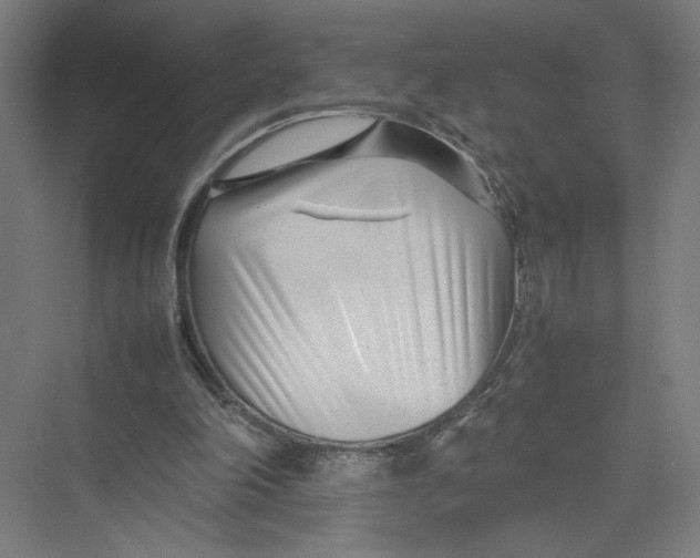 X0000075360198200610061755