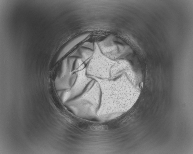 X0000075360202200610061755