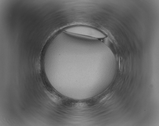 X0000075360204200610061755