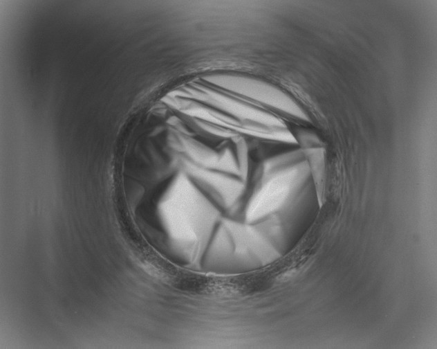 X0000075360207200610061755