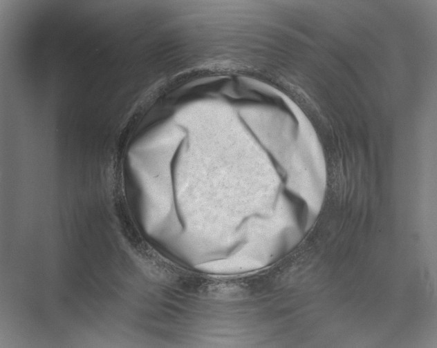 X0000075360208200610061755