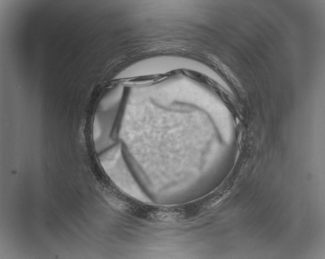 X0000075360209200610061755