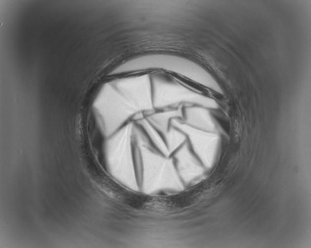 X0000075360211200610061755