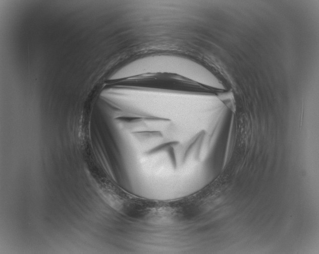 X0000075360212200610061755