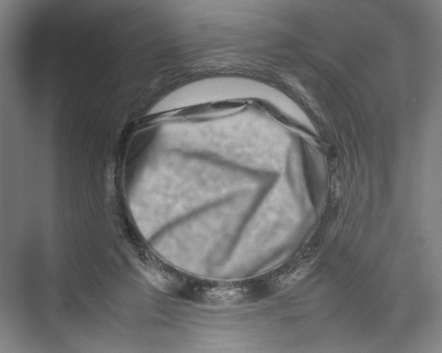 X0000075360213200610061755