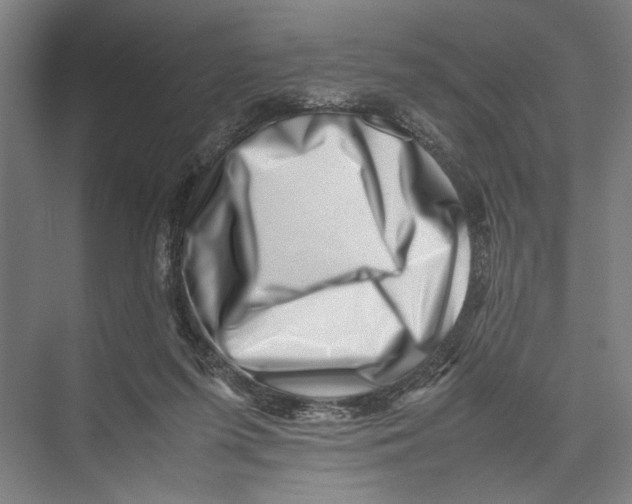 X0000075360215200610061755