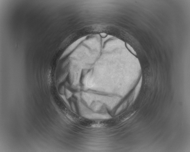 X0000075360216200610061755