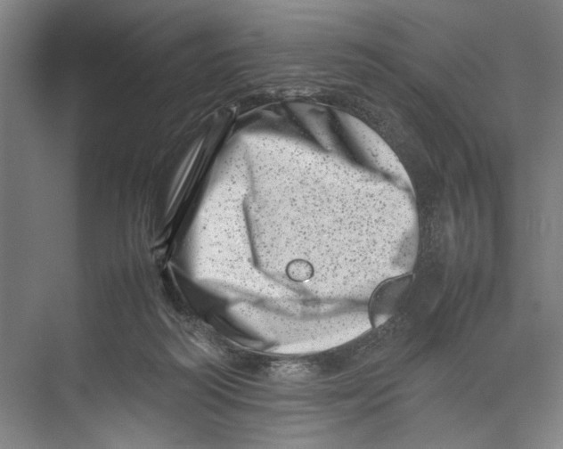 X0000075360218200610061755