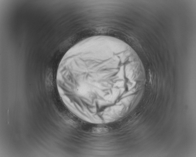 X0000075360220200610061755