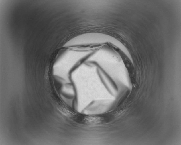 X0000075360221200610061755