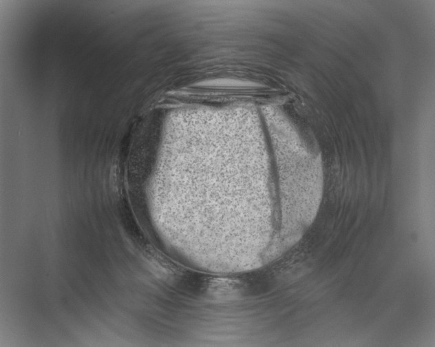 X0000075360222200610061755