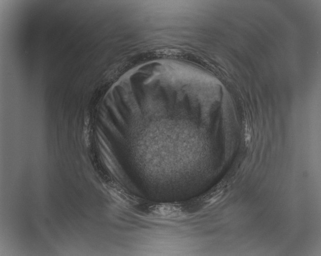 X0000075360223200610061755