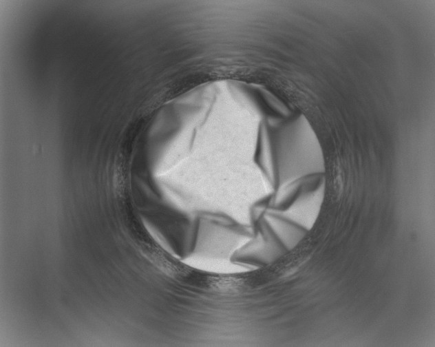 X0000075360226200610061755