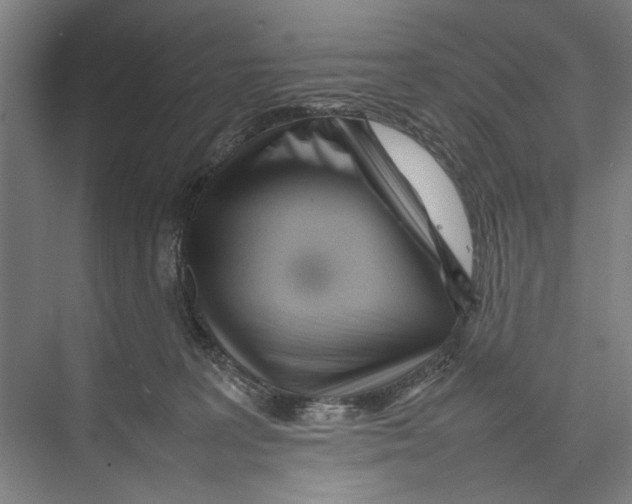 X0000075360227200610061755