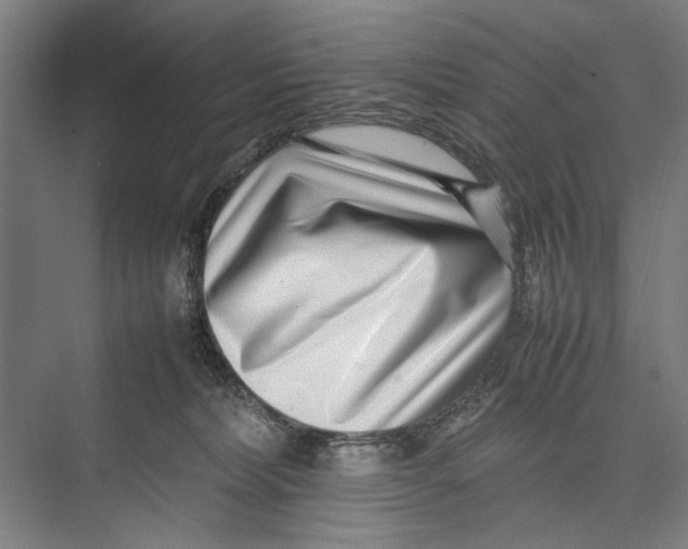 X0000075360228200610061755