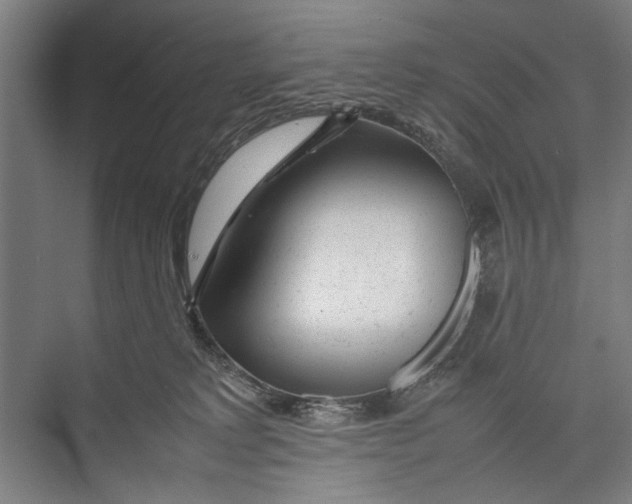 X0000075360229200610061755