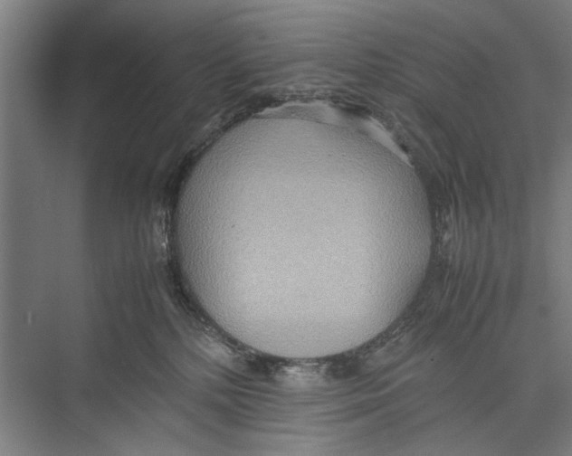 X0000075360232200610061755