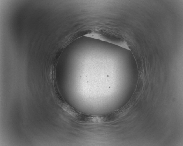 X0000075360233200610061755