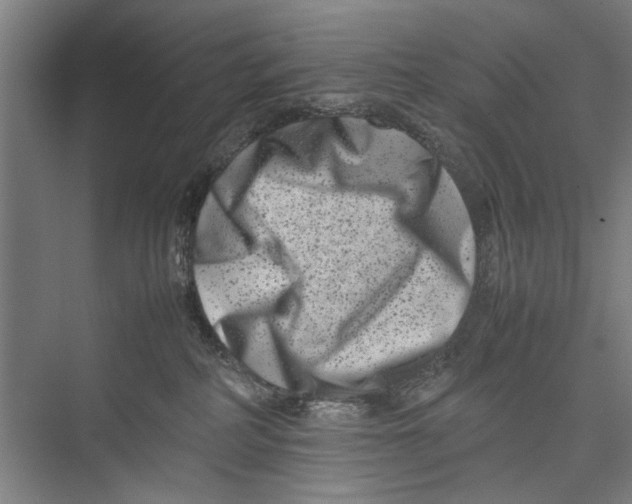 X0000075360234200610061755