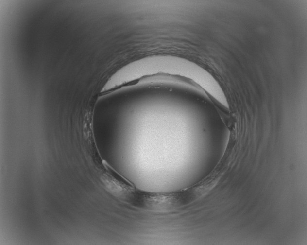 X0000075360237200610061755