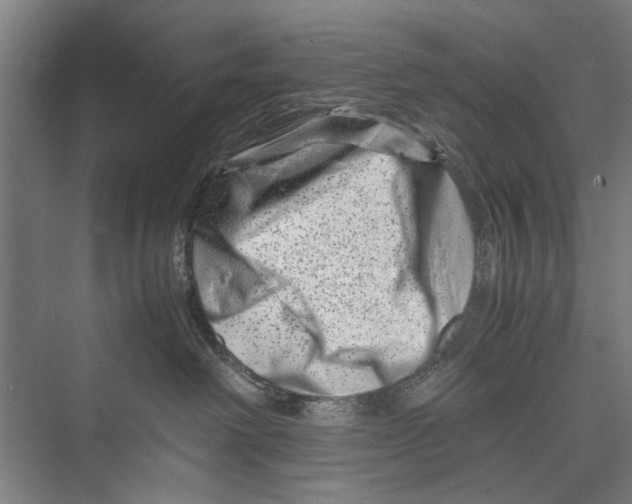 X0000075360238200610061755