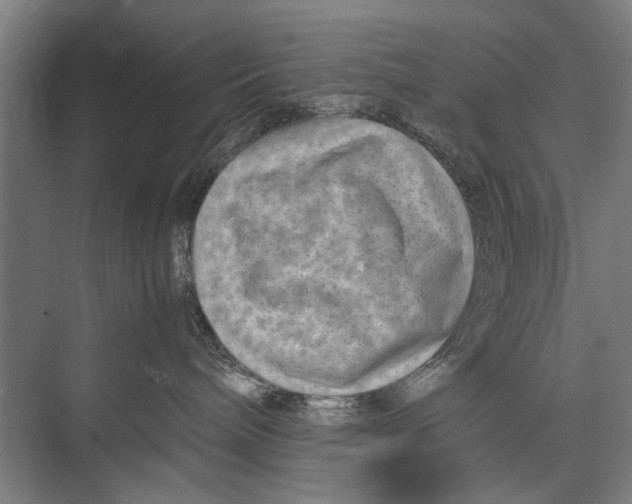 X0000075360240200610061755