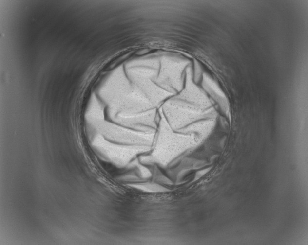 X0000075360241200610061754