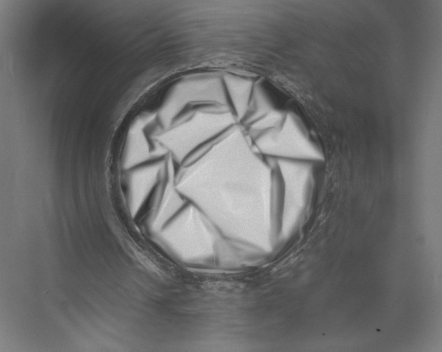 X0000075360242200610061754