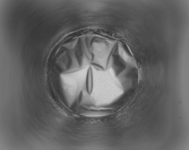 X0000075360243200610061754