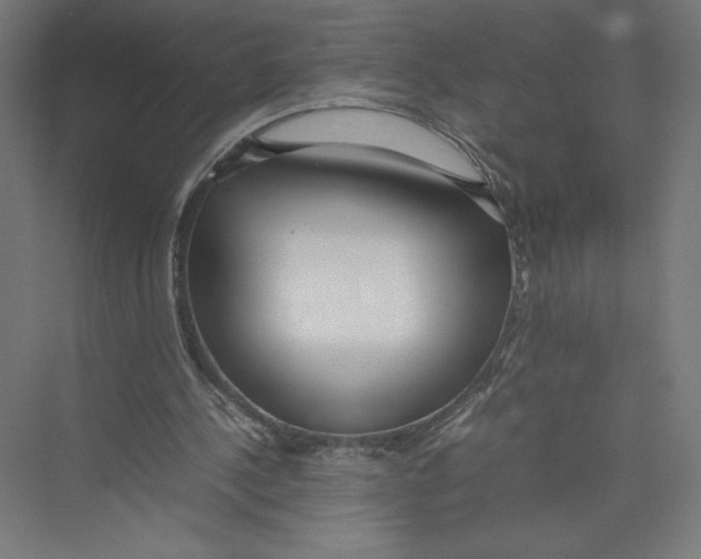 X0000075360244200610061754