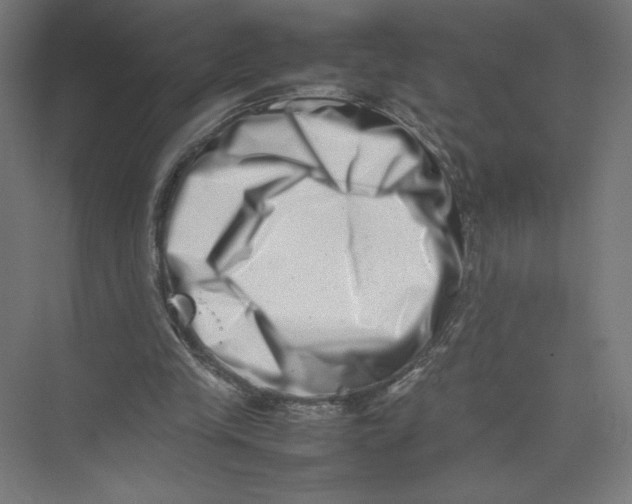 X0000075360245200610061754