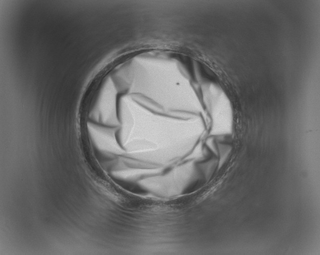 X0000075360246200610061754