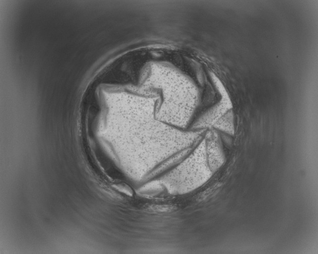 X0000075360247200610061754