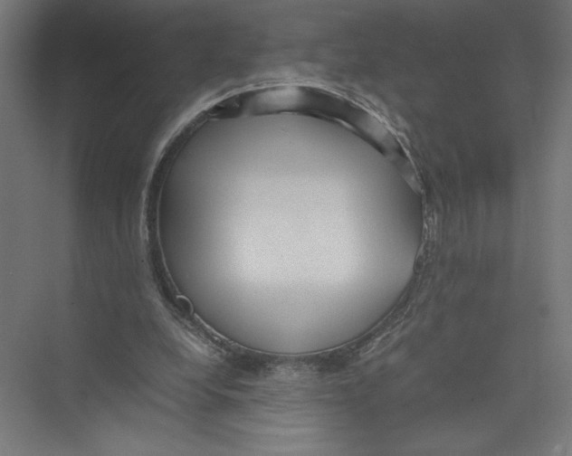 X0000075360248200610061754