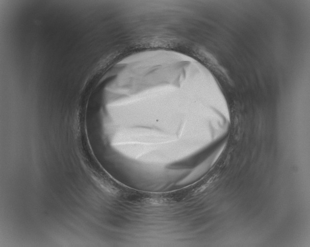 X0000075360250200610061754