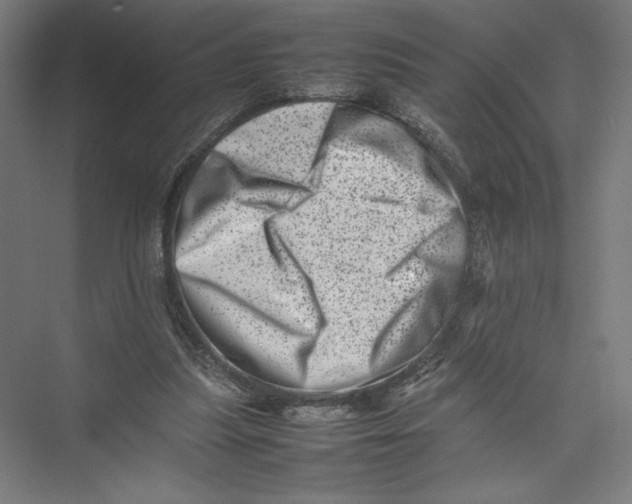 X0000075360251200610061754