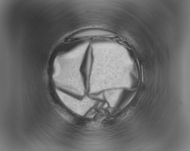 X0000075360252200610061754