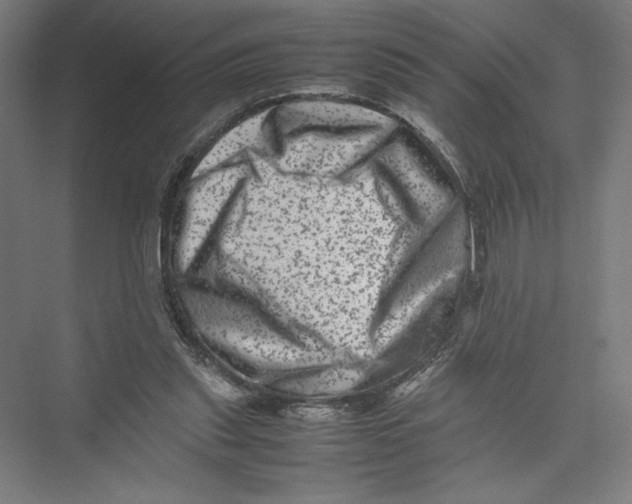 X0000075360253200610061754