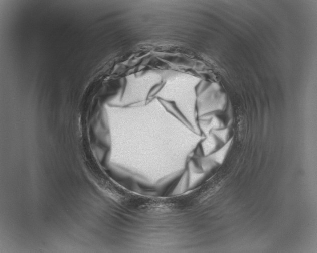 X0000075360254200610061754