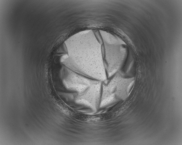 X0000075360257200610061754