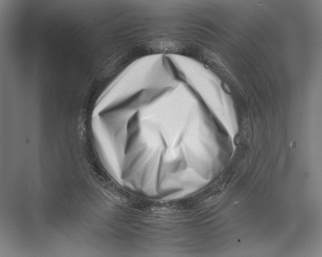 X0000075360259200610061754