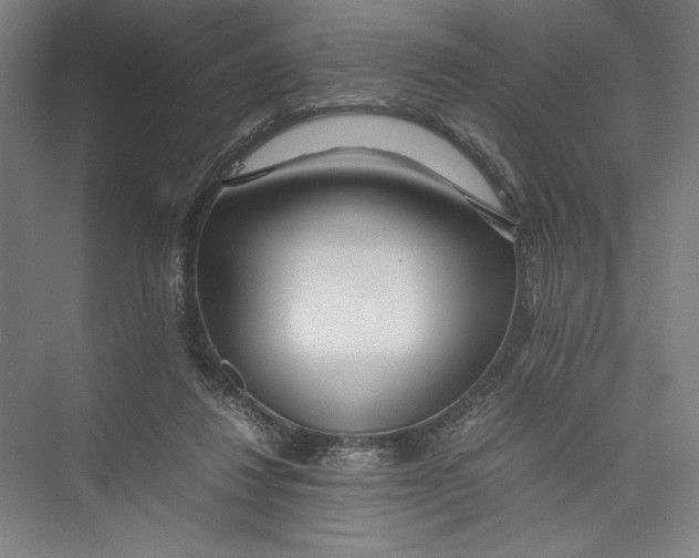 X0000075360260200610061754