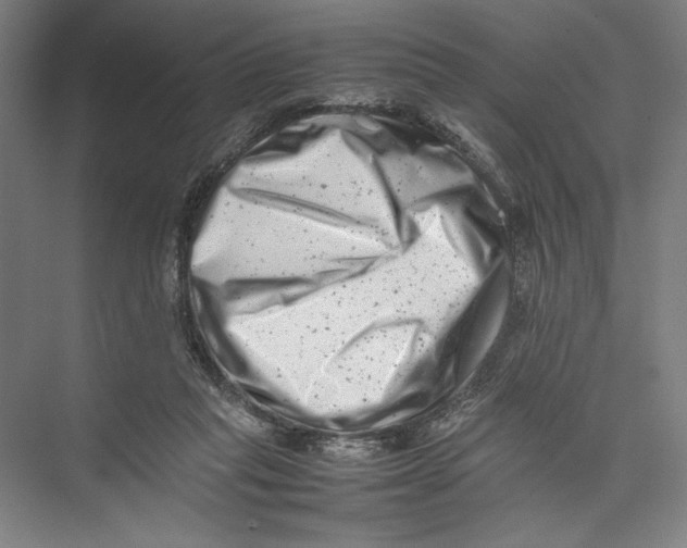 X0000075360261200610061754