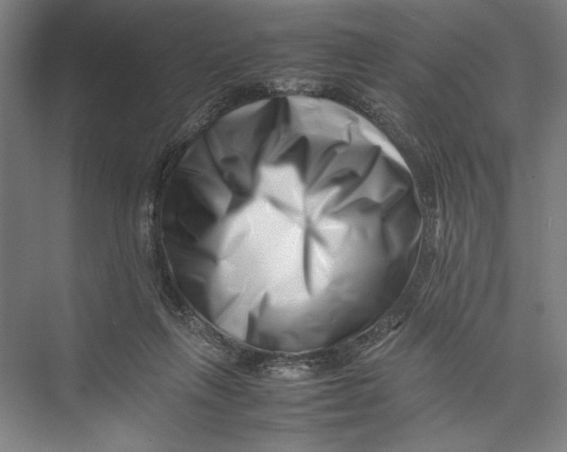 X0000075360263200610061754