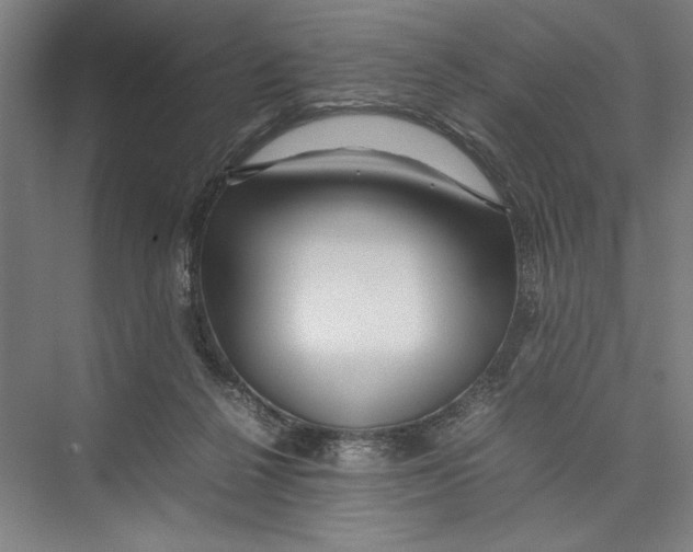 X0000075360264200610061754