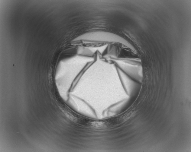 X0000075360265200610061754