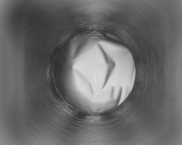 X0000075360266200610061754