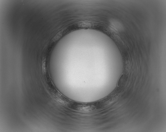 X0000075360267200610061754